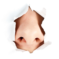 JBWAノーズワックス講習