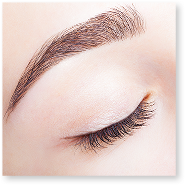 眉毛ワックス講習 