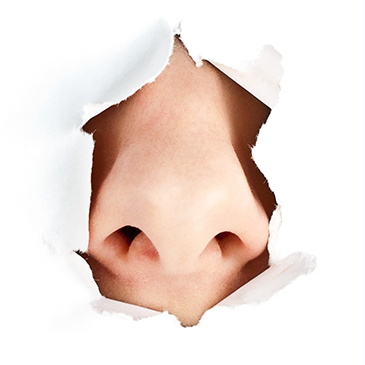 JBWAノーズワックスコース